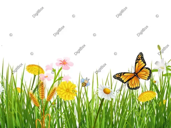 وکتور چمن بهاری با گل و پروانه