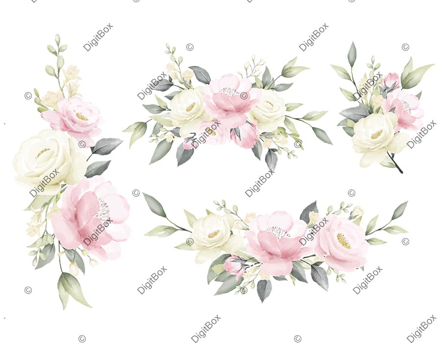 مجموعه وکتور گل حاشیه
