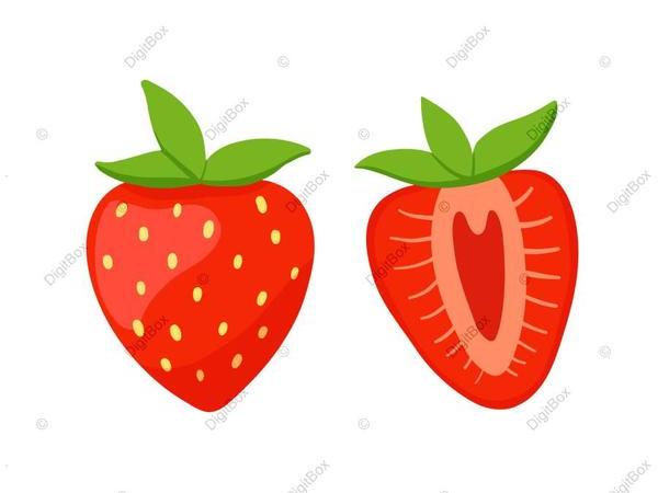  عکس توت فرنگی کارتونی