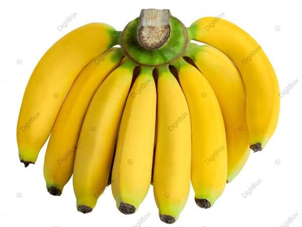 عکس یک دسته موز